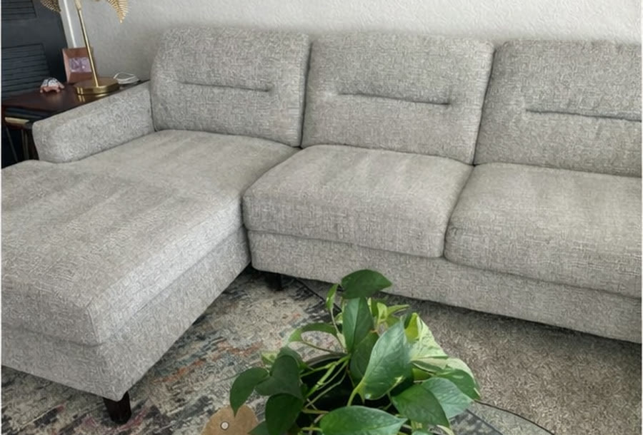 Clean upholstered sofa after pet-hair removal
