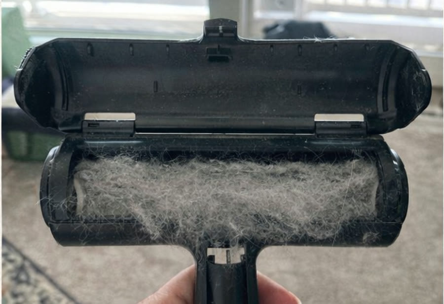 Pet hair removed from upholstered sofa